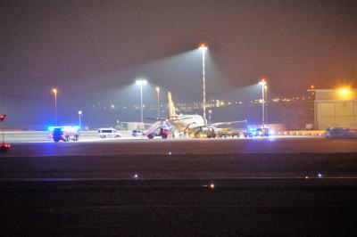 Leinfelden-Echterdingen: Ankommendes Flugzeug loest Grossalarm aus